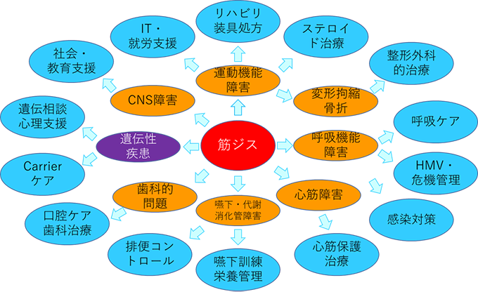 筋疾患センターにおける診療イメージ